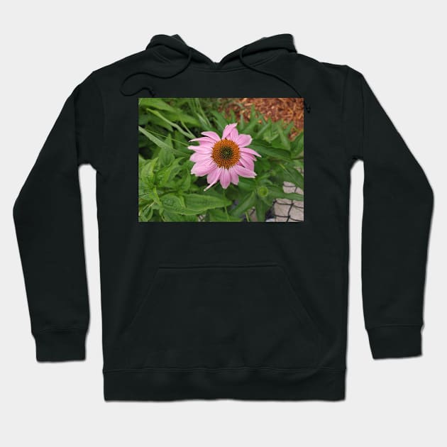 Echinacea Hoodie by Drgnfly4free